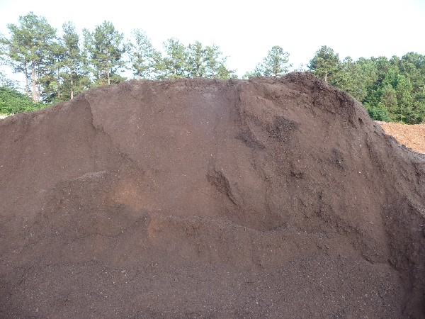 Web 2012-06-22 Veggie Garden 33 percent GB 036.jpg